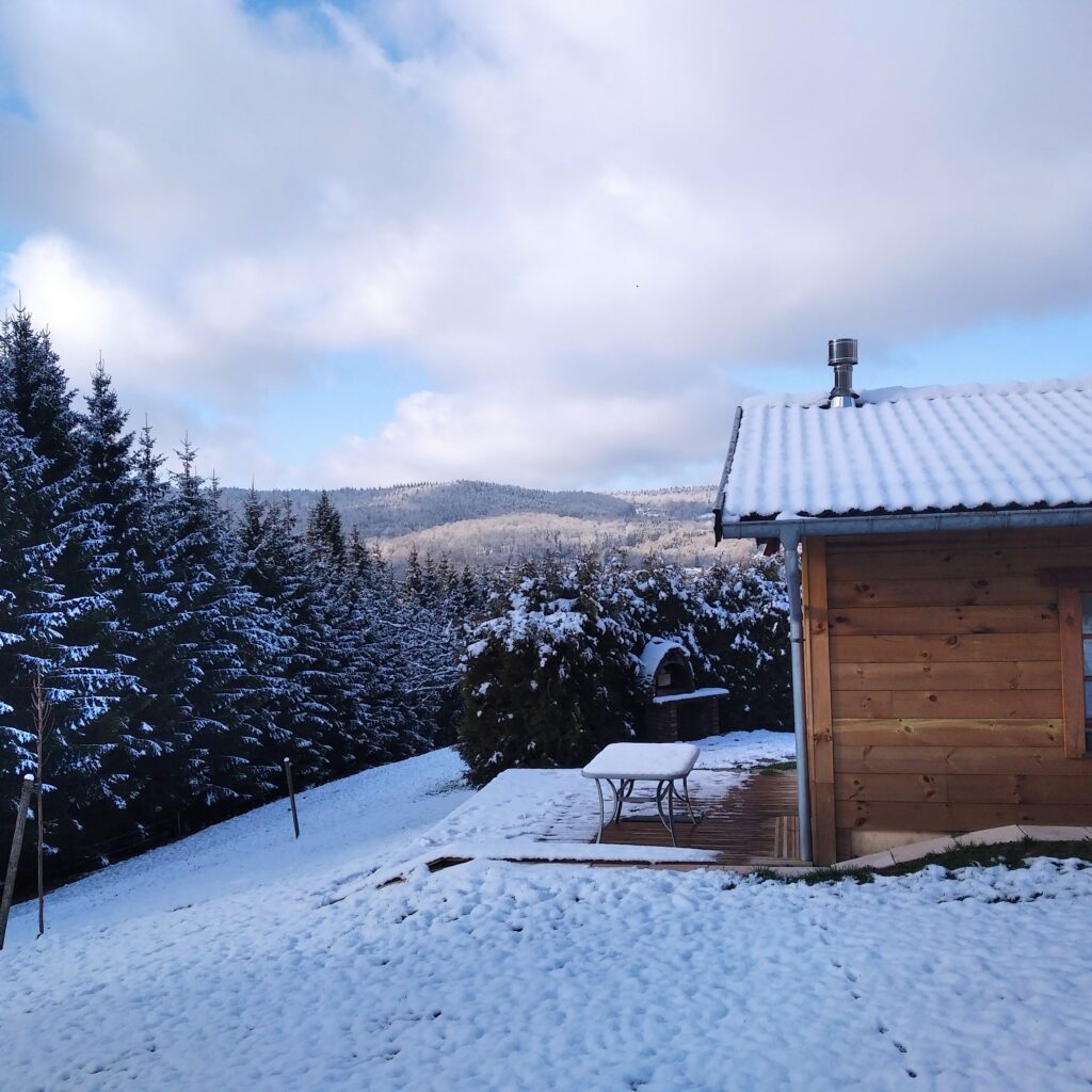 img 20210108 125056 img 20210108 125056